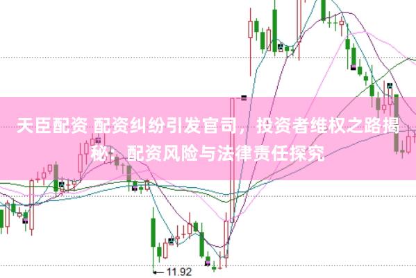 天臣配资 配资纠纷引发官司，投资者维权之路揭秘：配资风险与法律责任探究