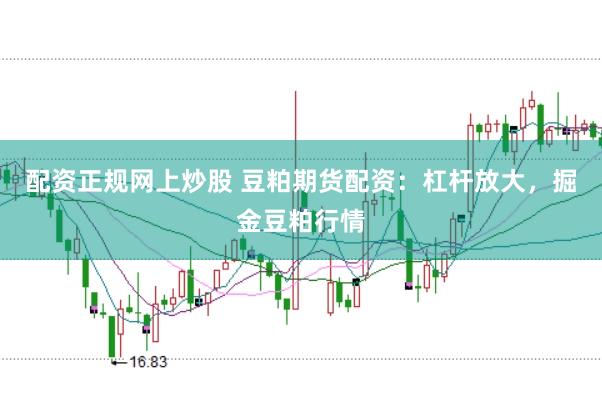配资正规网上炒股 豆粕期货配资：杠杆放大，掘金豆粕行情