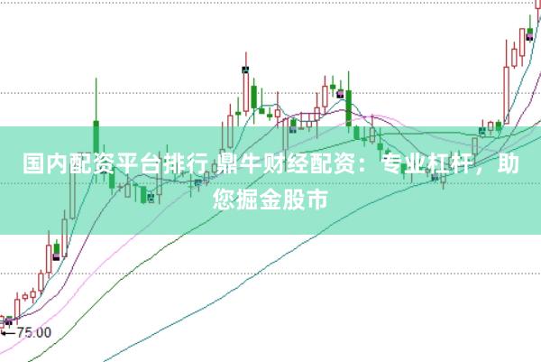 国内配资平台排行 鼎牛财经配资：专业杠杆，助您掘金股市