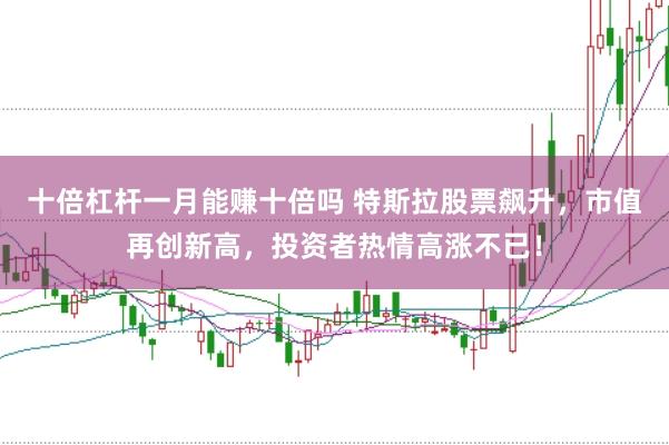 十倍杠杆一月能赚十倍吗 特斯拉股票飙升，市值再创新高，投资者热情高涨不已！