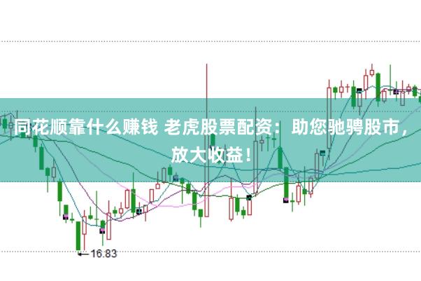 同花顺靠什么赚钱 老虎股票配资：助您驰骋股市，放大收益！