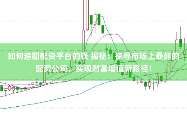 如何追回配资平台的钱 揭秘：探寻市场上最好的配资公司，实现财富增值新路径！