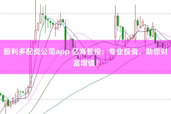 股利多配资公司app 亿海智投：专业投资，助您财富增值！
