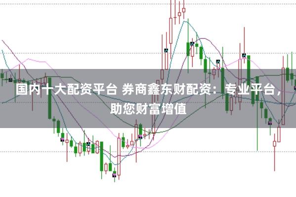 国内十大配资平台 券商鑫东财配资：专业平台，助您财富增值