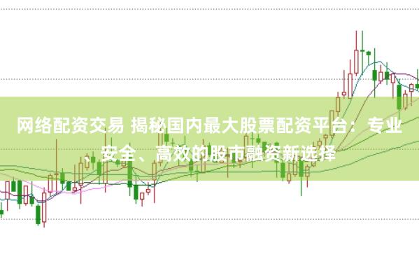 网络配资交易 揭秘国内最大股票配资平台：专业、安全、高效的股市融资新选择