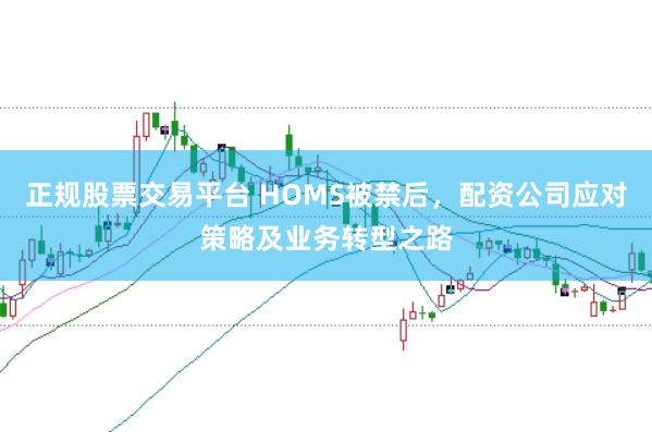 正规股票交易平台 HOMS被禁后，配资公司应对策略及业务转型之路