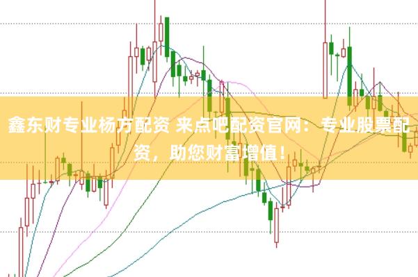 鑫东财专业杨方配资 来点吧配资官网:专业股票配资,助您财富增值!