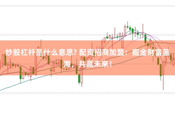 炒股杠杆是什么意思? 配资招商加盟:掘金财富蓝海,共赢未来!
