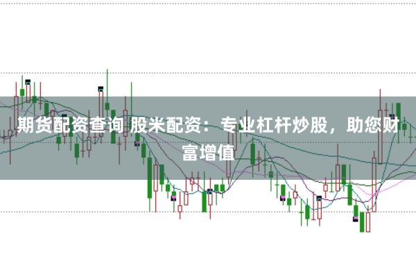 期货配资查询 股米配资：专业杠杆炒股，助您财富增值