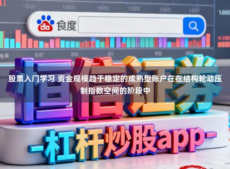 股票入门学习 资金规模趋于稳定的成熟型账户在在结构轮动压制指数空间的阶段中